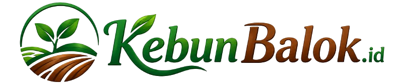 KebunBalok.id