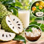 Apa Saja Manfaat Buah Sirsak? Kenali Kandungan Gizi dan Cara Konsumsi yang Aman
