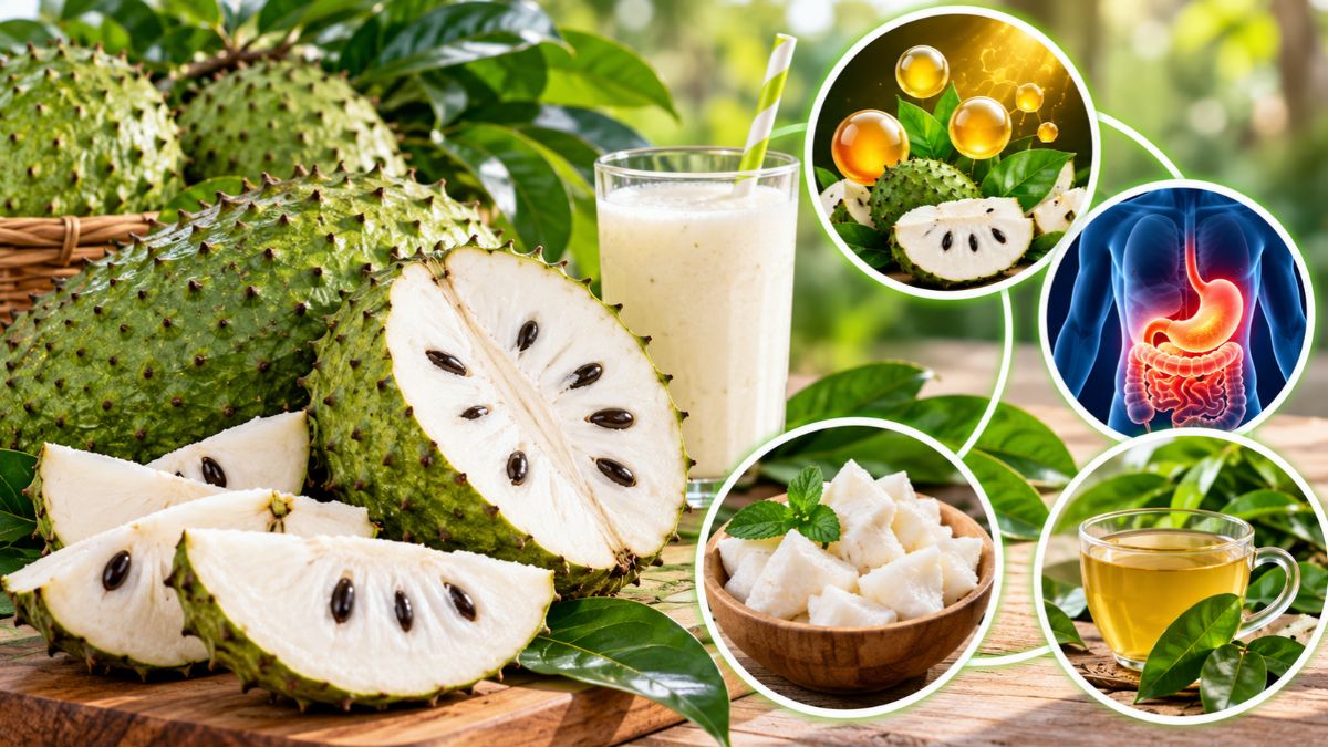 Apa Saja Manfaat Buah Sirsak? Kenali Kandungan Gizi dan Cara Konsumsi yang Aman